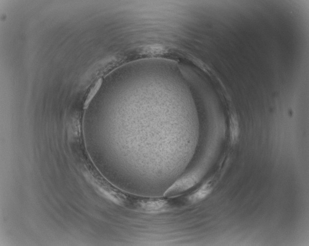 X0000052940517200507081147