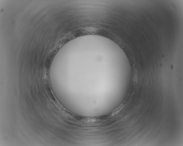 X0000052940518200507081147