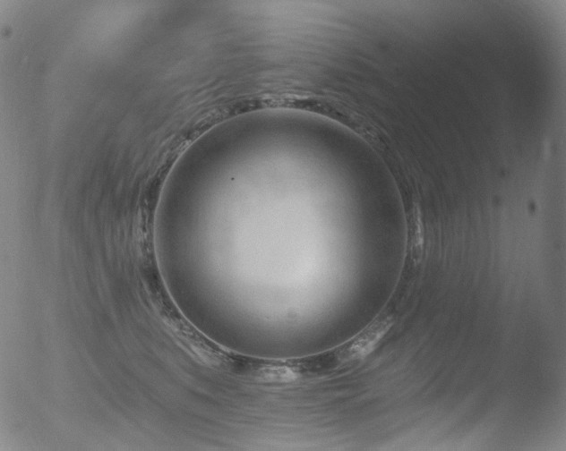 X0000052940519200507081147