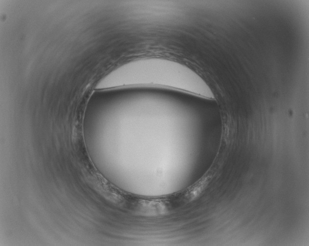 X0000052940520200507081147