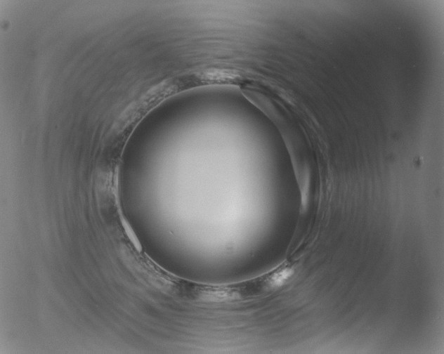 X0000052940521200507081147