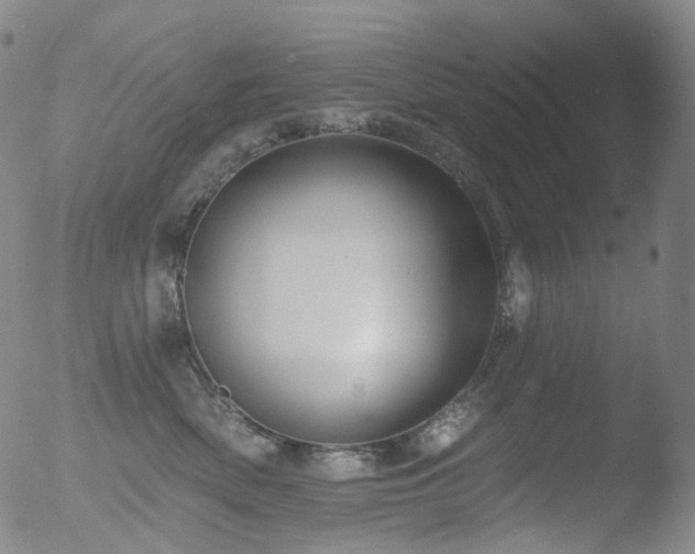 X0000052940522200507081147