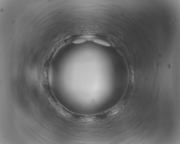 X0000052940523200507081147