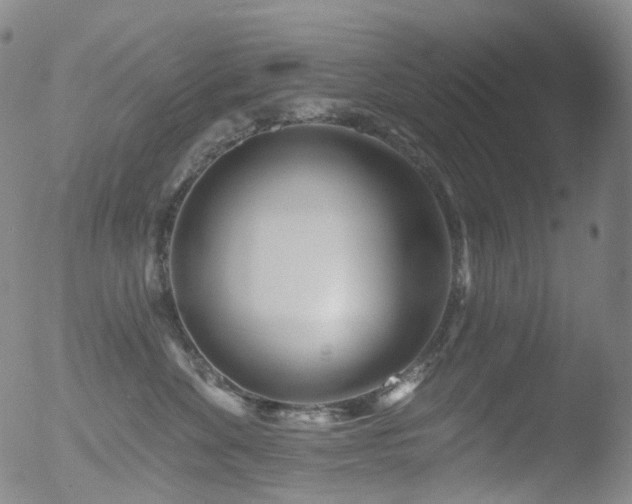 X0000052940524200507081147