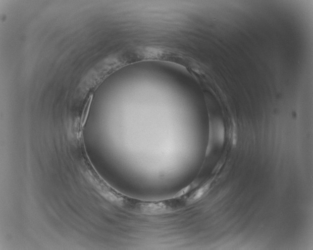 X0000052940525200507081147