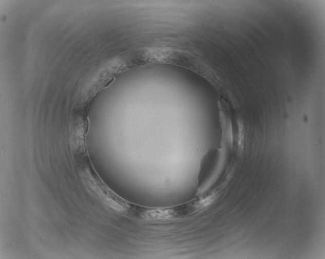 X0000052940526200507081147