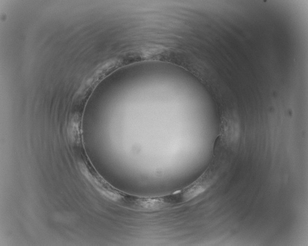 X0000052940527200507081147