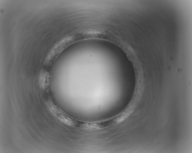 X0000052940528200507081147