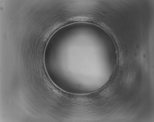 X0000052940529200507081146