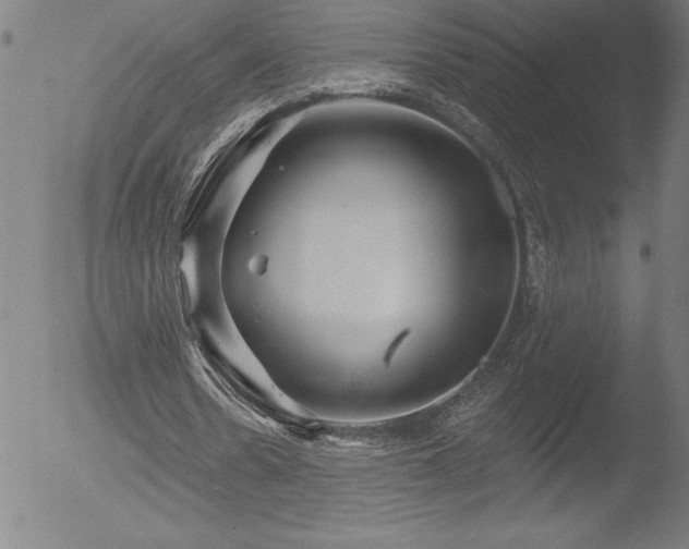 X0000052940530200507081146