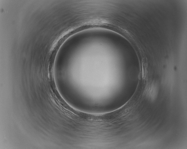 X0000052940531200507081146