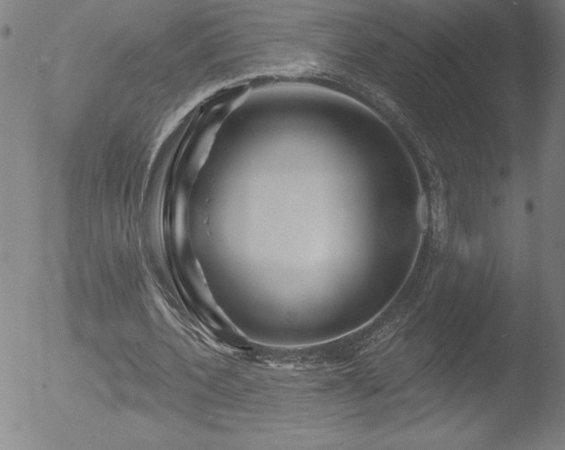 X0000052940532200507081146