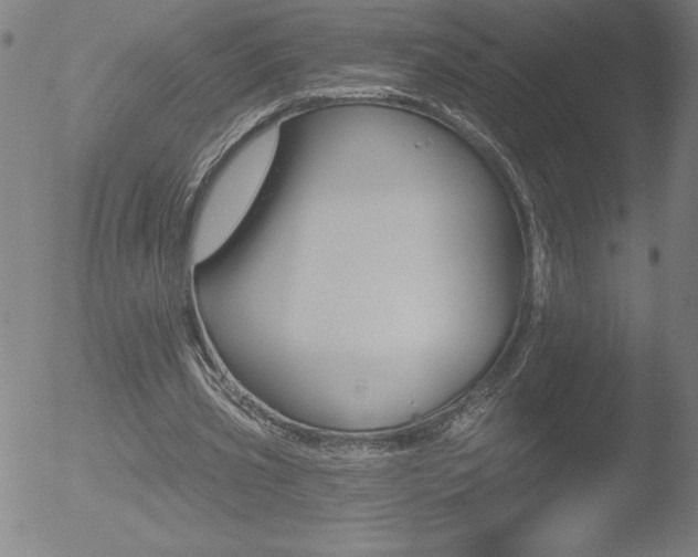 X0000052940533200507081146