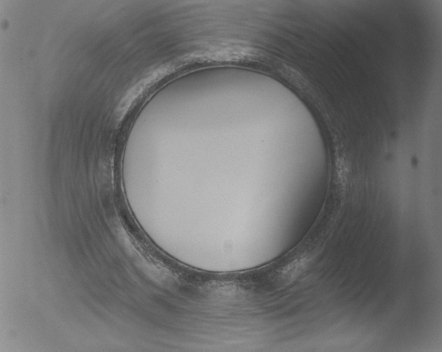 X0000052940534200507081146