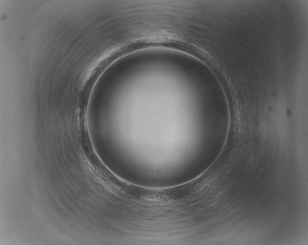 X0000052940535200507081146