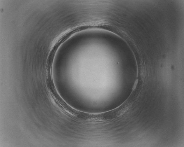 X0000052940536200507081146