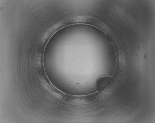 X0000052940537200507081146