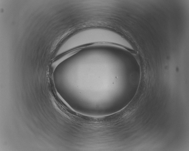 X0000052940538200507081146