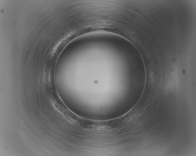 X0000052940539200507081146