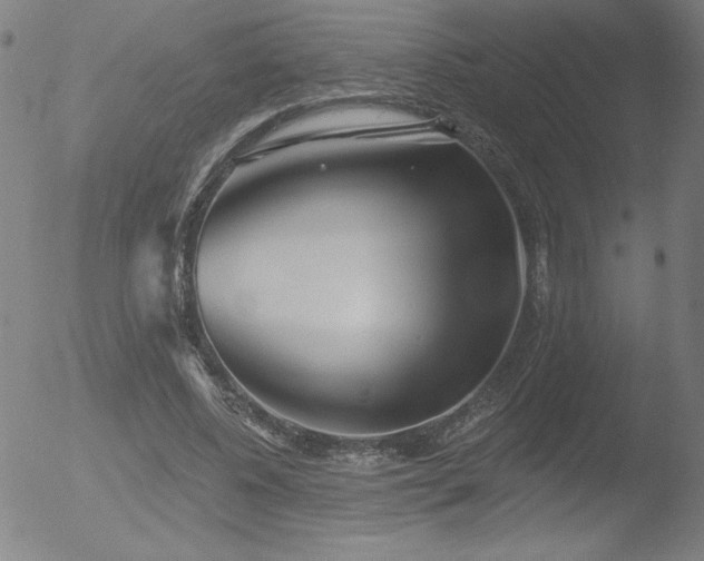 X0000052940540200507081146