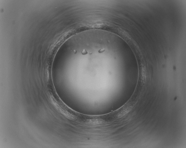 X0000052940541200507081147