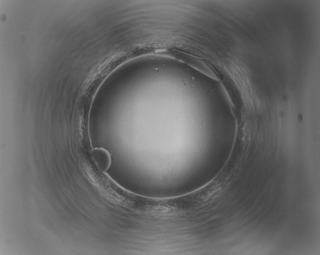 X0000052940542200507081147