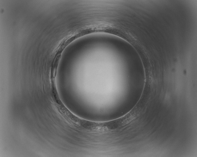 X0000052940543200507081147