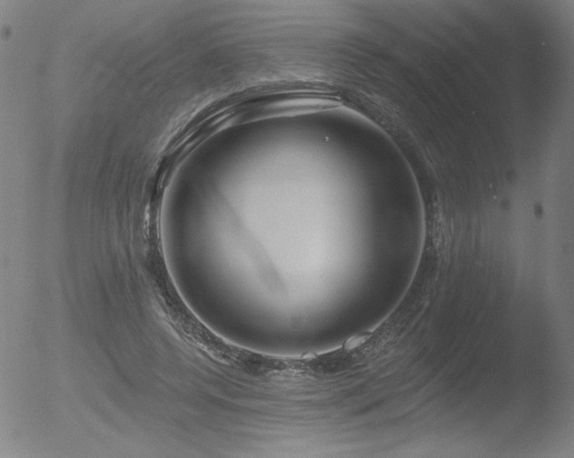 X0000052940544200507081147