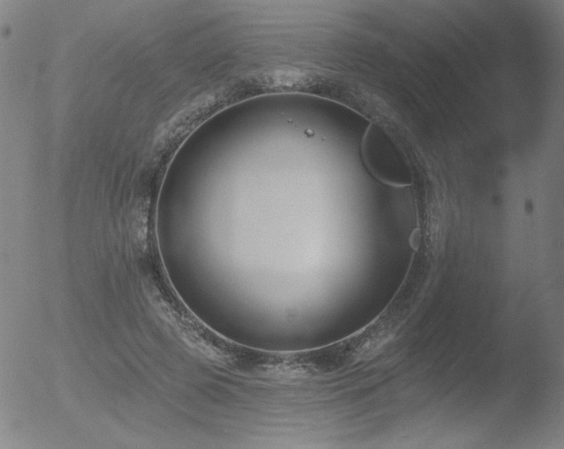 X0000052940545200507081147