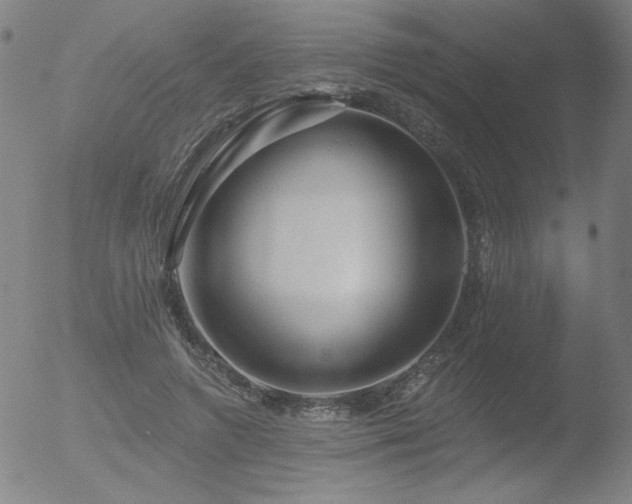 X0000052940546200507081147