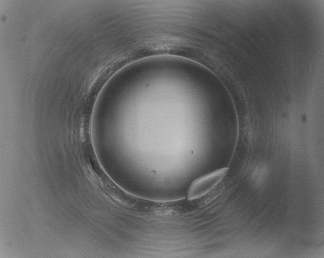 X0000052940547200507081147