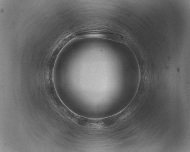 X0000052940548200507081147