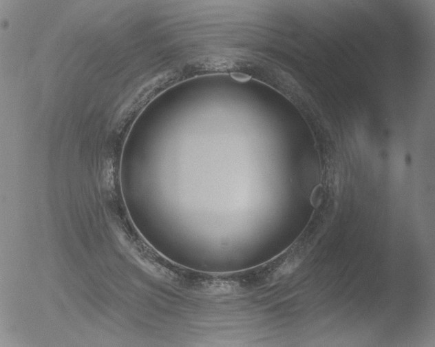 X0000052940549200507081147