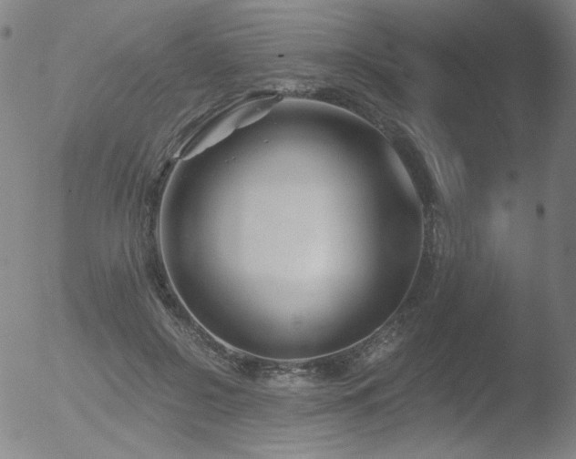 X0000052940550200507081147