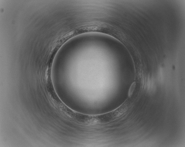 X0000052940551200507081147