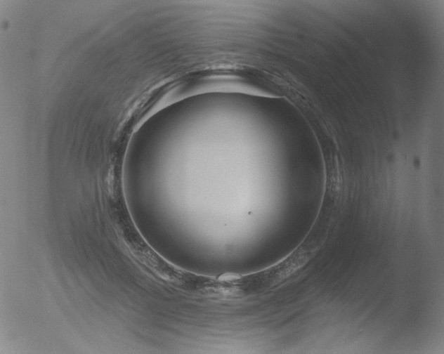 X0000052940552200507081147