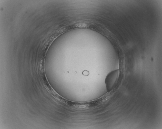 X0000052940553200507081147