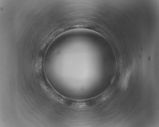 X0000052940554200507081147