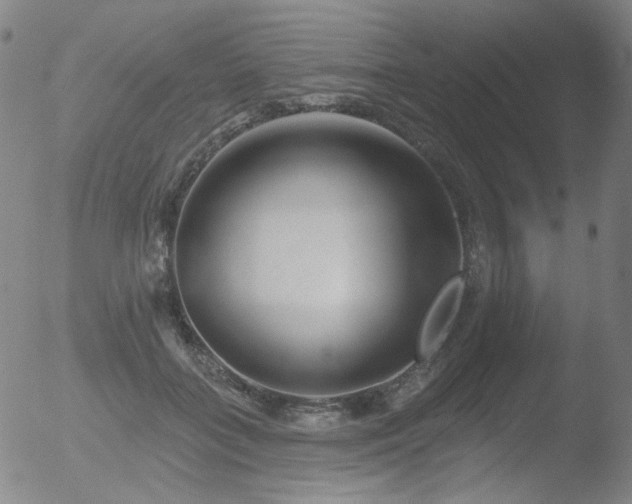 X0000052940555200507081147