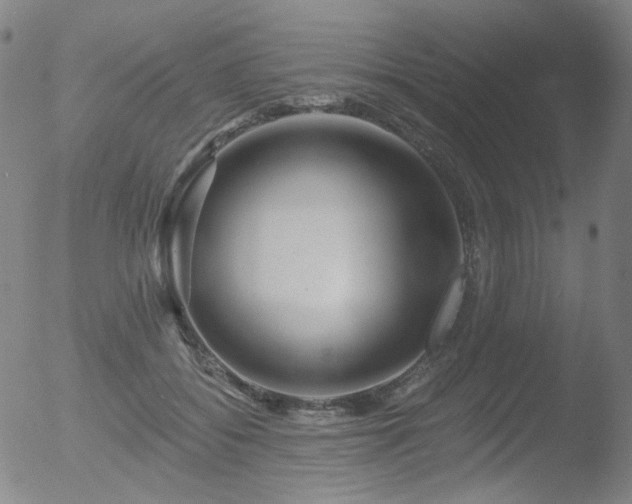 X0000052940556200507081147