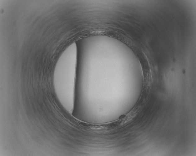 X0000052940557200507081147