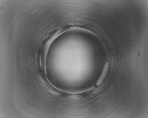 X0000052940558200507081147