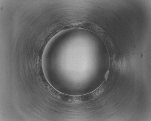 X0000052940559200507081147