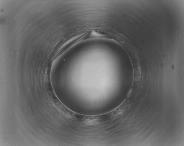 X0000052940560200507081147