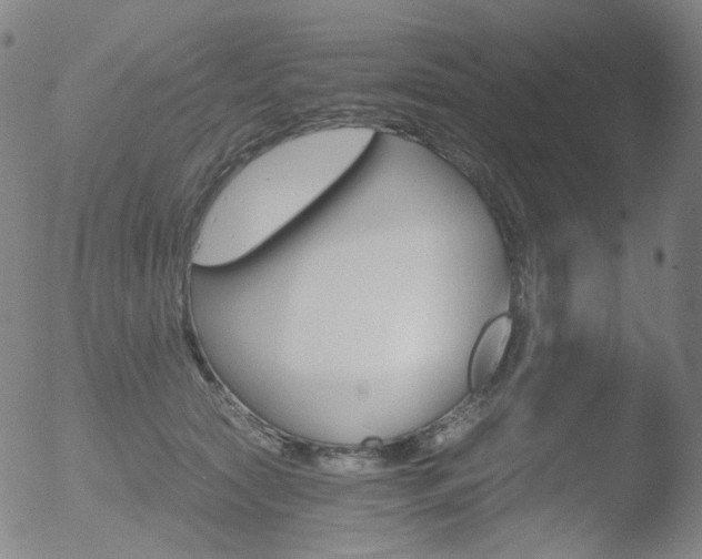 X0000052940561200507081147