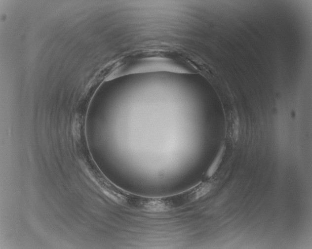 X0000052940562200507081147