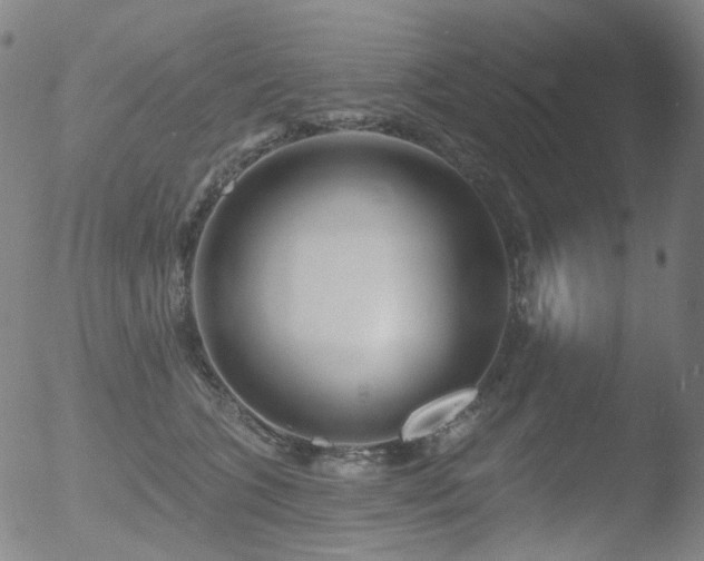 X0000052940563200507081147