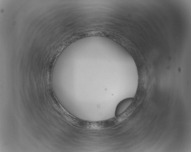 X0000052940565200507081147