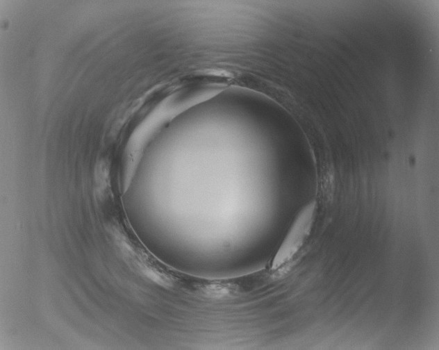 X0000052940566200507081147