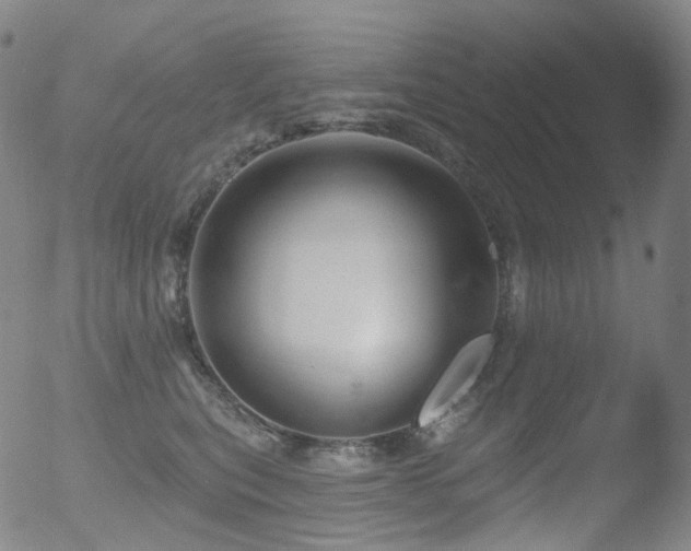 X0000052940567200507081147